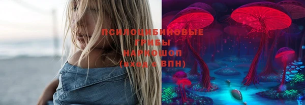дживик Дмитриев