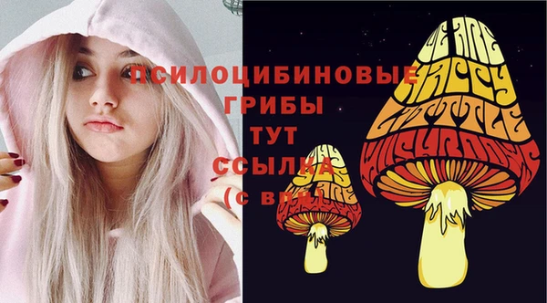прущий лед Бугульма