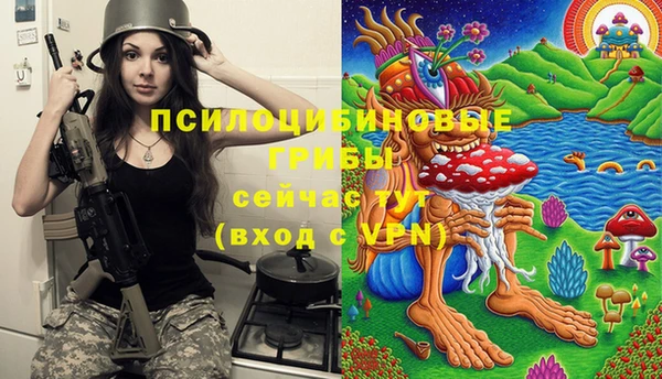 герыч Бородино