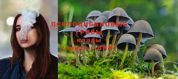 прущая мука Бронницы