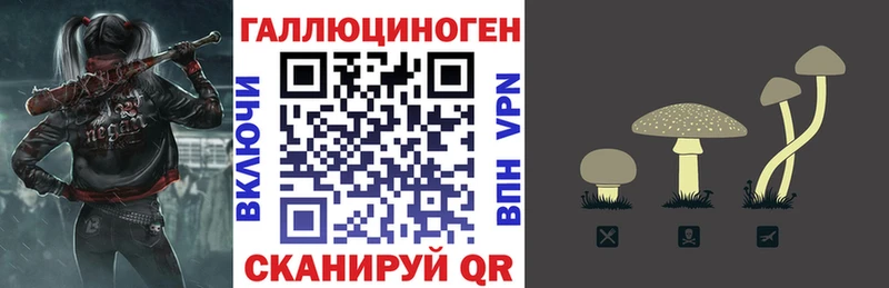сколько стоит  Ростов  Галлюциногенные грибы GOLDEN TEACHER 